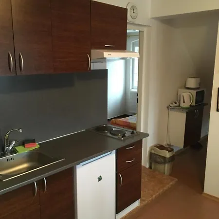 Apartmany Nikola Апартаменты Нове-Гради